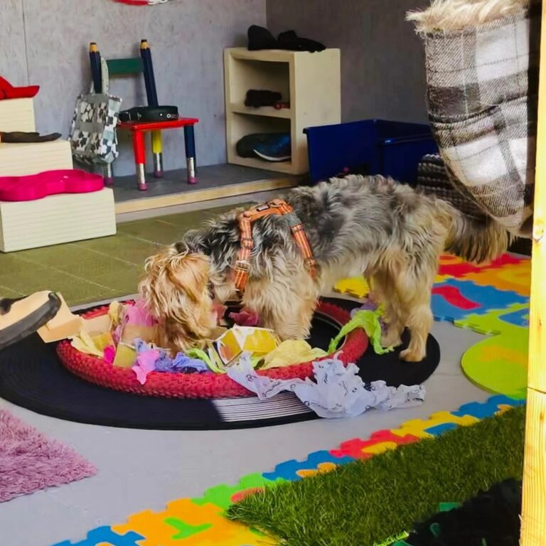 1931 d1c400019e119b52d600a5ff38430855 1 768x768