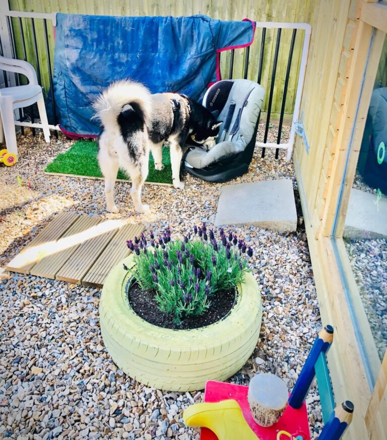 1931 fd8fef8e7b59b27f22e58d6c6c53faa9 1 768x873