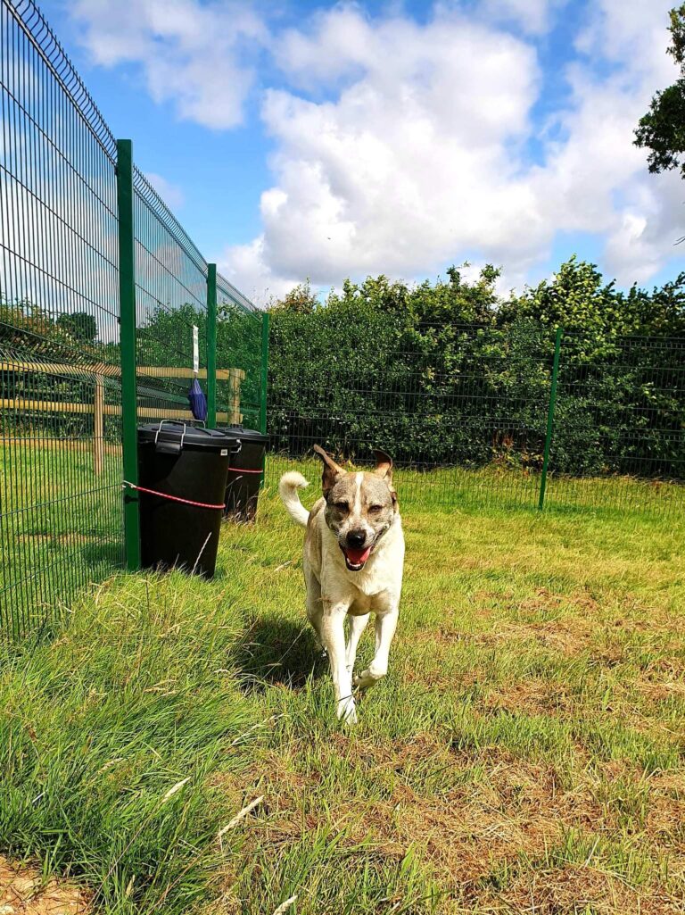 1938 59b1fdcdad1f83abe9236e1e417e3647 1 768x1025