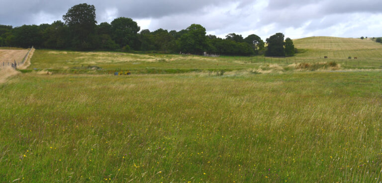 1944 593a1bdc6033b109333d3c04eccf8adf 1 768x369