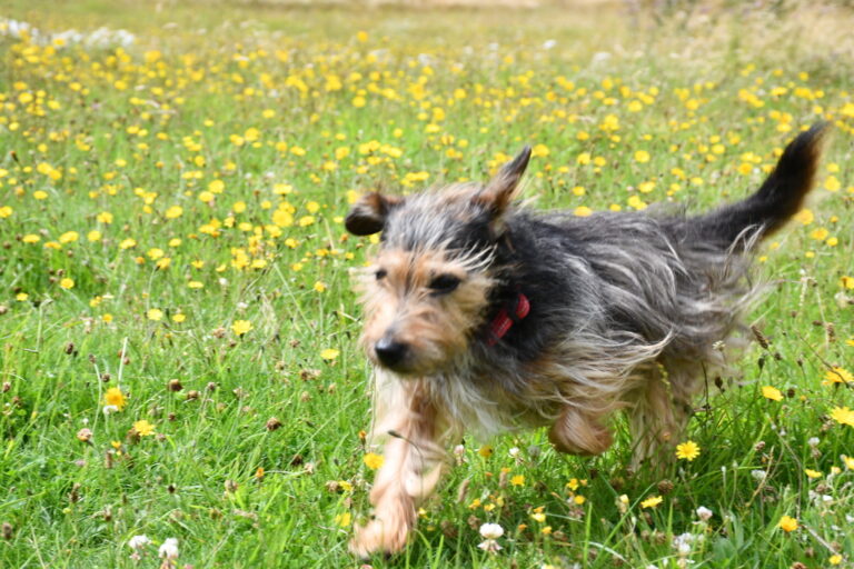 1944 8e98e6d4c61343910cd831a31f2a61ad 1 768x512