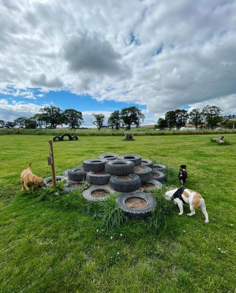 1948 0e175b1a7e39b593248748b33a03b3a6 1 768x954