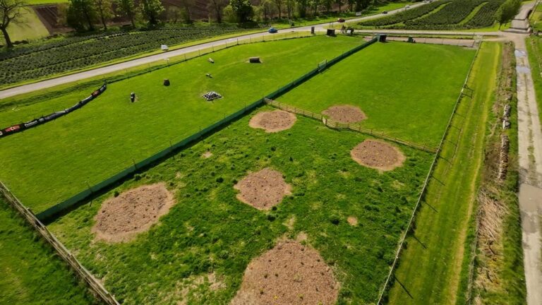 1948 d4886f8b06ec46210972e9647b837815 1 768x432