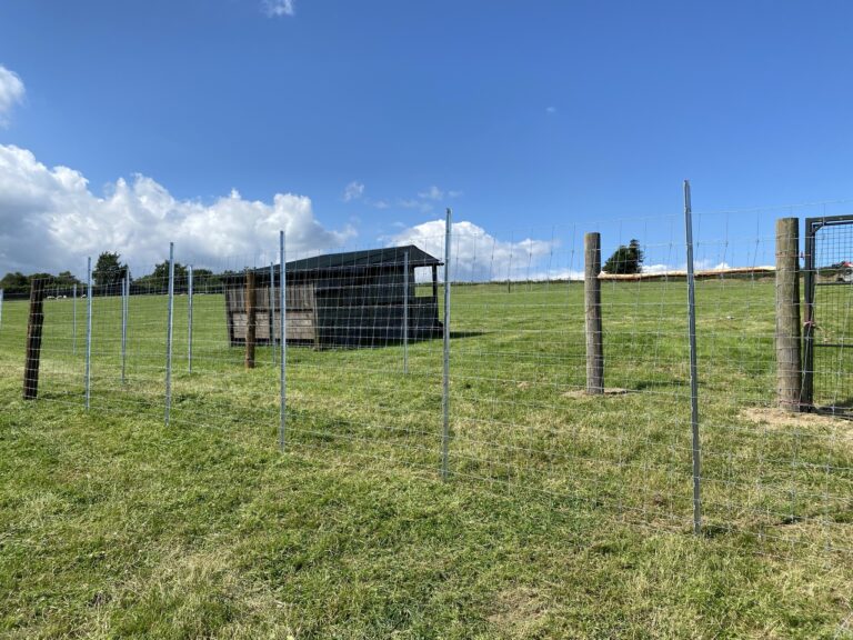 1955 bade90b37ac13b9b96bab837e5c6bb38 1 768x576