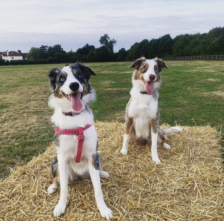 1956 0c4ad61c131aefe330ea7971ad5750c8 1 768x758