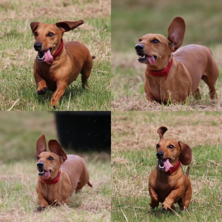 1956 425316cdc4a58cbbb2207dd5ac832618 1 768x768