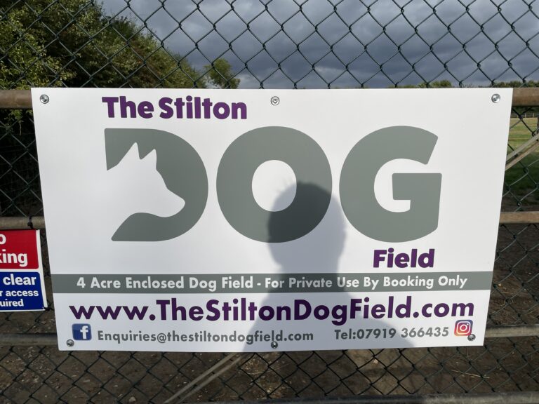 1956 50022eb061a09400028438c4de54b47b 1 768x576