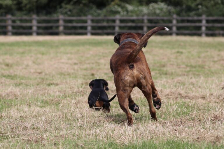 1956 fac6cd3db4bb23bb29220e434ec75036 1 768x512