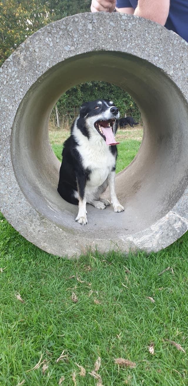 1956 fb111ed7cb0180ea410a68ab411a753a 1