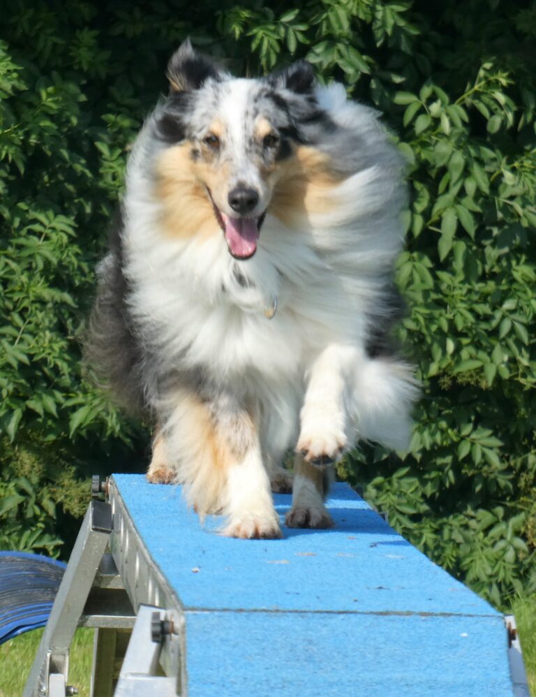 1961 9b7681882ef42ad63485bf37d57bab3f 1 768x998