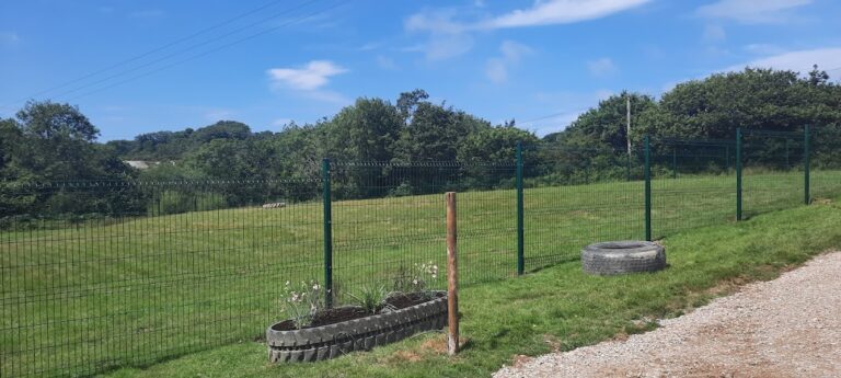 1972 6afafdd2dac3d77c7d96e42e239c6b4e 1 768x345