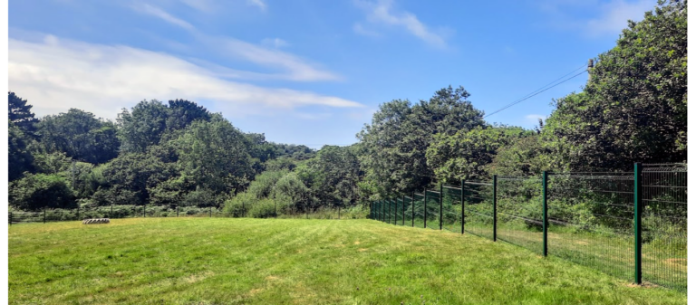 1972 943e8048ae2d729bd2cedcdb4189ce5a 1 768x337