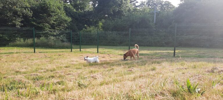 1972 d5ffe9a47afd5fb7e334116a763fefc2 1 768x345