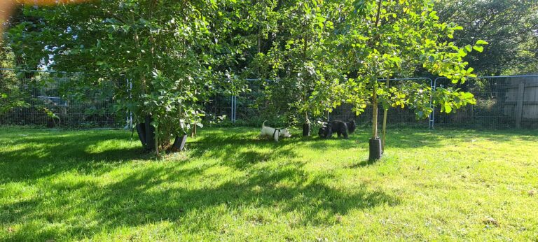 1973 21c0daadf408aa857b8e120a87dce300 1 768x346