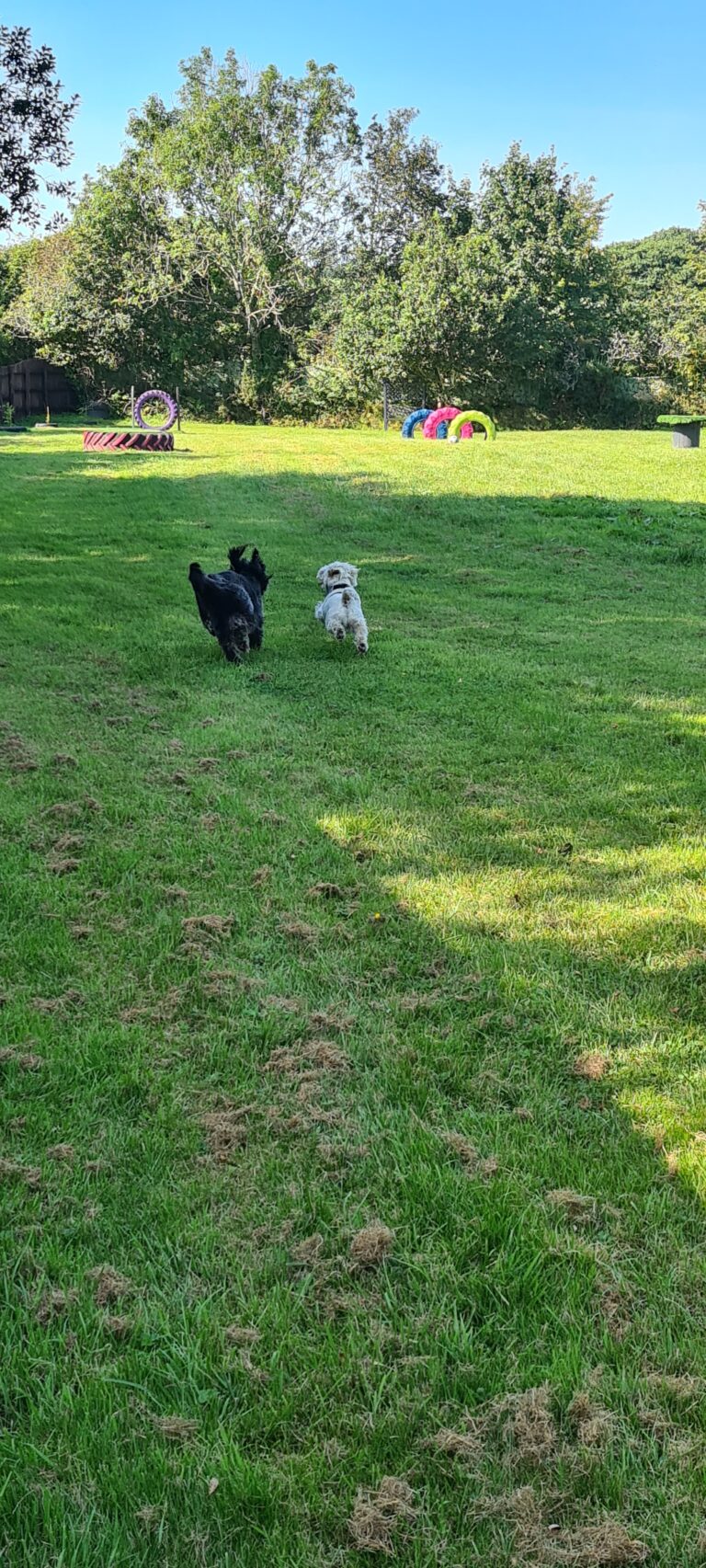 1973 a9998e4a4945c6e8541f818f91686b07 1 768x1705