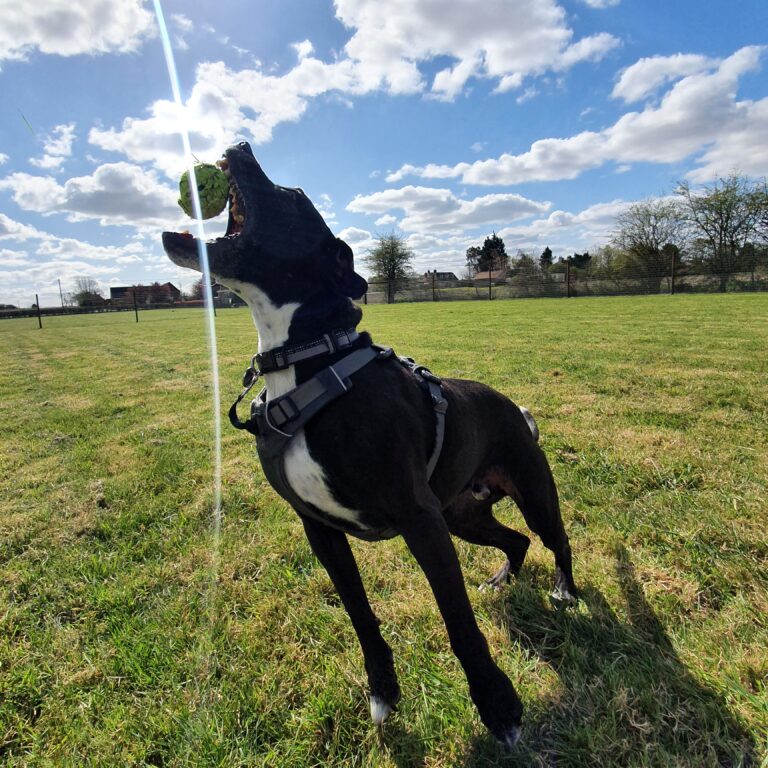 1976 015b6498c58b21b54f49d41930ce09ac 1 768x768