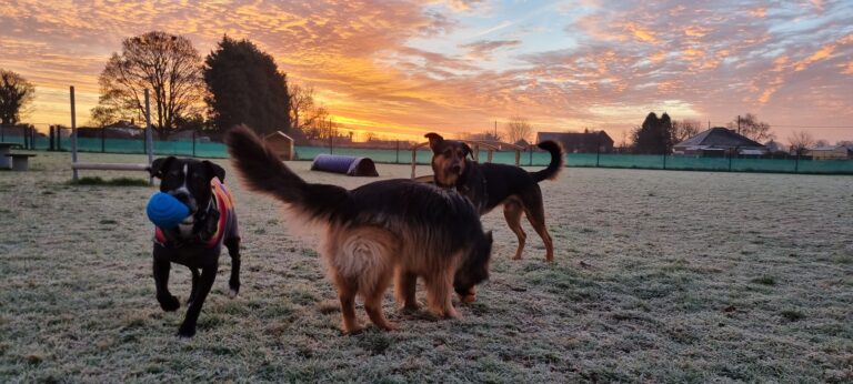 1976 1c9a879828f6a9ccc2e5b1b9101783ed 1 768x346