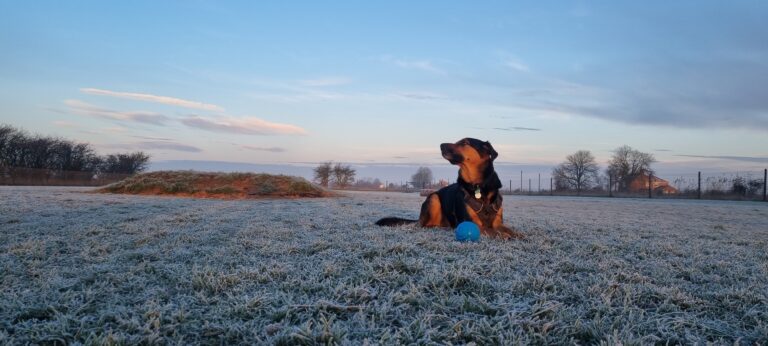 1976 1d17671d813ad4ee171dc5b4c4b8799c 1 768x346