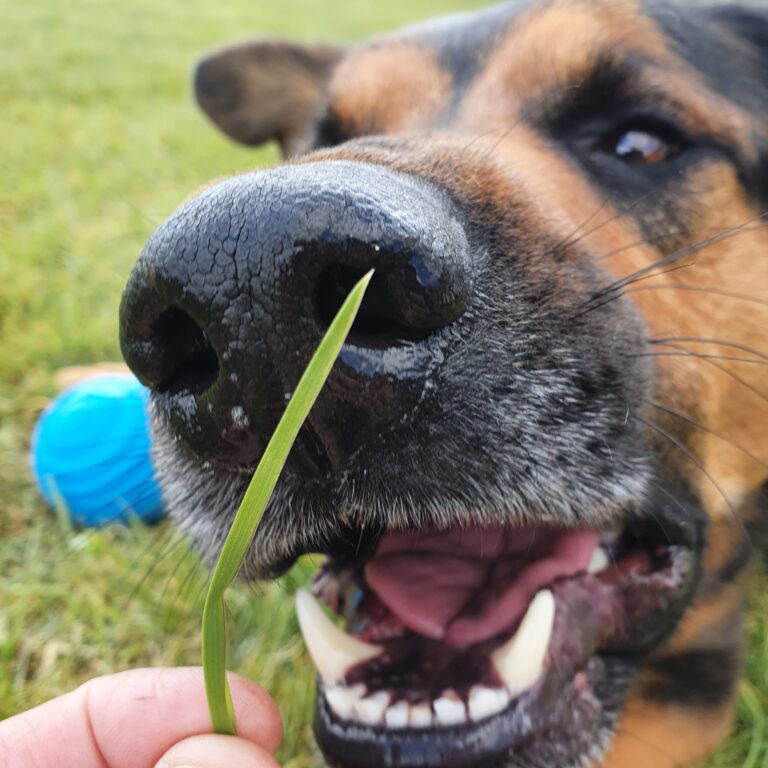 1976 24b15c3eb3a07c4be8ef215c8c8a2c7c 1 768x768