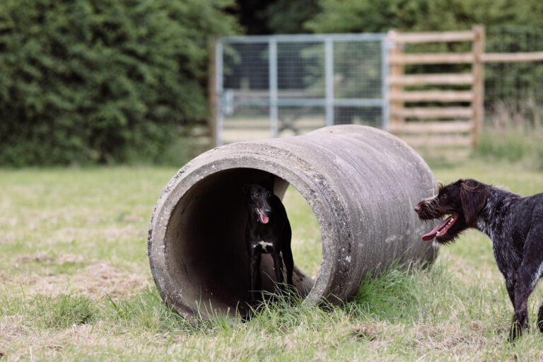 1979 550f26ab552586e7f40c9063b8aa5ba0 1 768x512