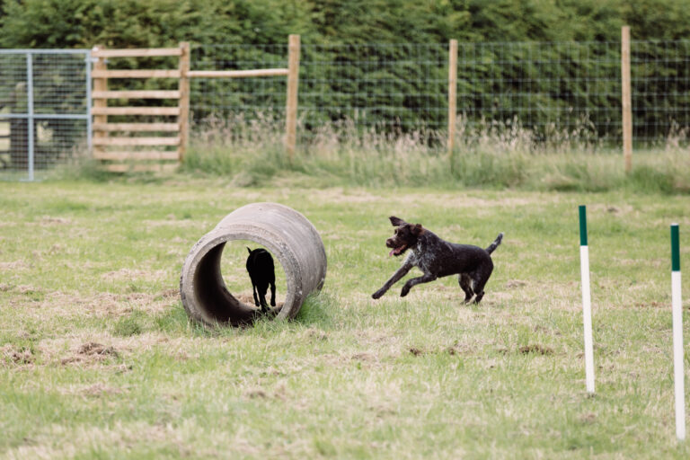 1979 a3005631fc7af080d3ae0238c446c88d 1 768x512