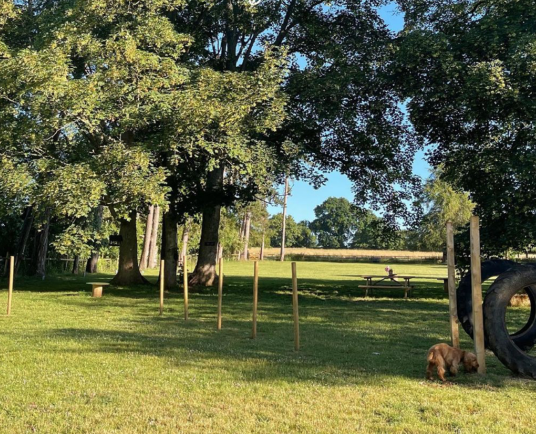 1980 45f70251f97ab898e52e9dec44996664 1 768x621