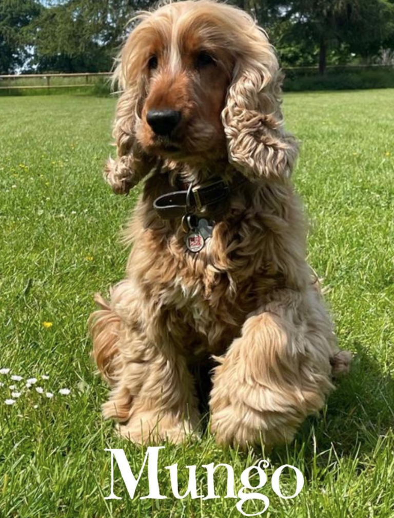 1980 92a3eb75e42ed50c537993a85443f4f9 1 768x1008