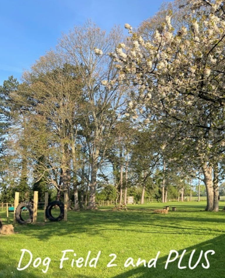 1980 bfff2c42fc860b6e5262f2569206f5ca 1 768x950