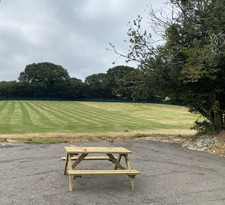 1981 3bdf994e0d40e5a5234fc9d4f6bb3261 1 768x698