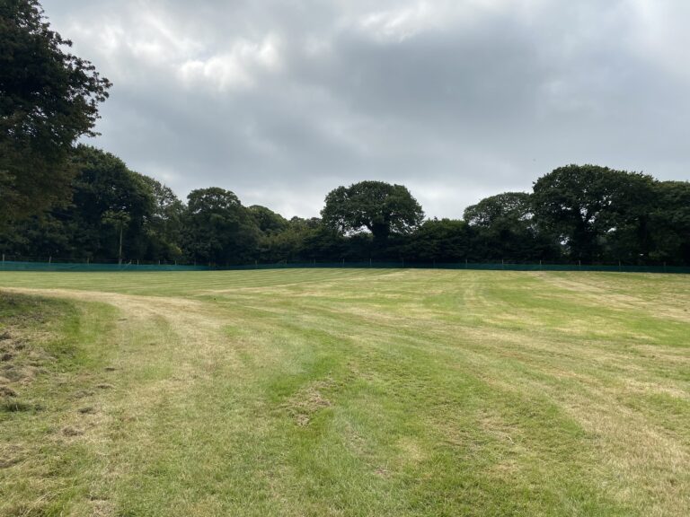 1981 3fe12615347bf6f61c6b41d6b693f288 1 768x576