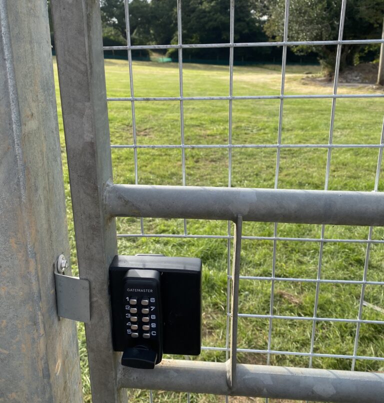 1981 a851bce2f66f9230803668fcb2081c67 1 768x806