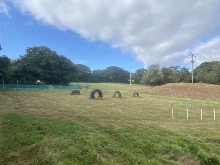 1981 b82905dcdce7dc6a60ef6043ceb526ad 1 768x576