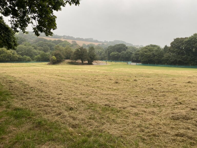 1981 c7eabb9dda7088095a35edb8e5954de2 1 768x576