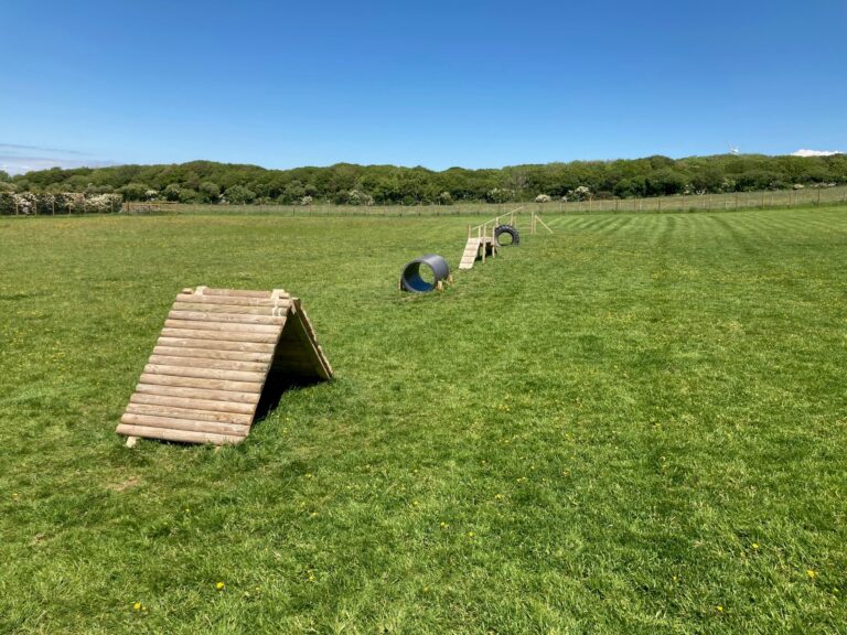 1986 11bf72e47500dc6d9d531d2a987da57b 1 768x576