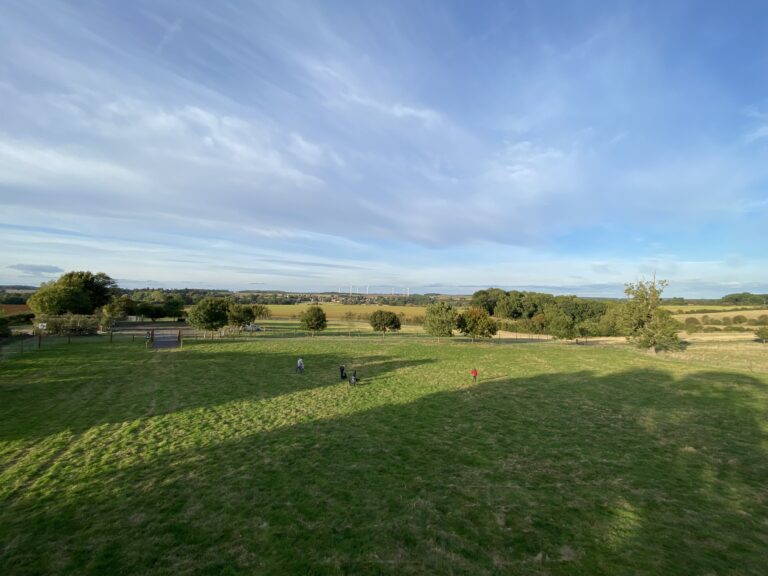 1996 d69b11bd3bfe56586f9c08adf9731c3d 1 768x576