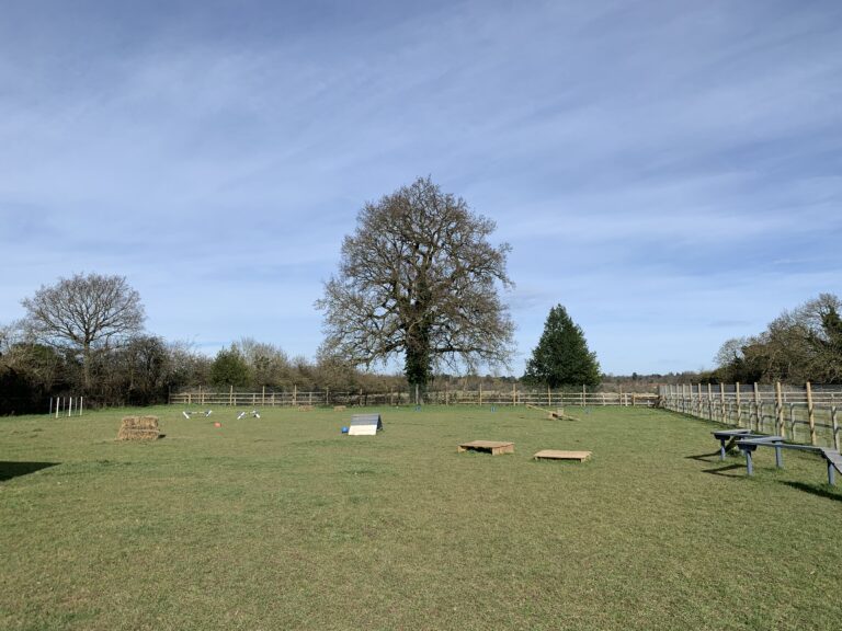 1997 9d05635d5589b608e8ac792d1ad281e9 1 768x576