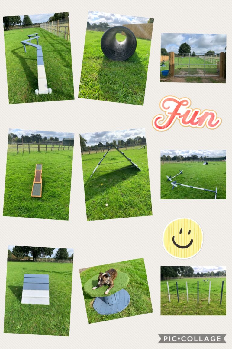 1997 d9c5d0ee77e644ade5c3d8513caa6b34 1 768x1152