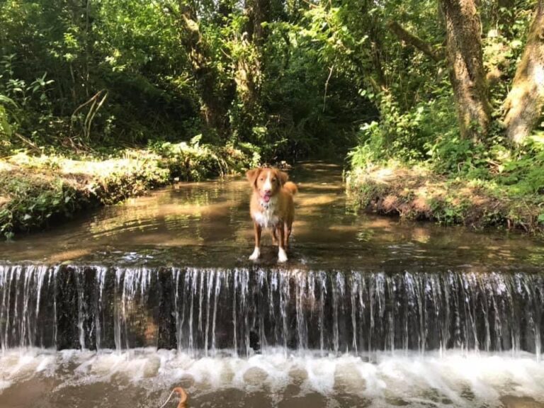 2001 34669dd4afd1088ebe7881757b2060d1 1 768x576