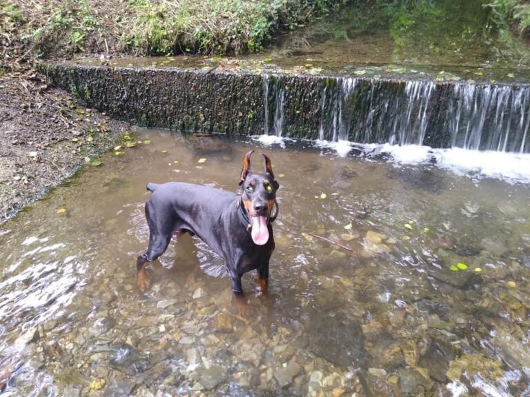 2001 9a8cf8827c03fb86efecdf4064af0b86 1 768x576