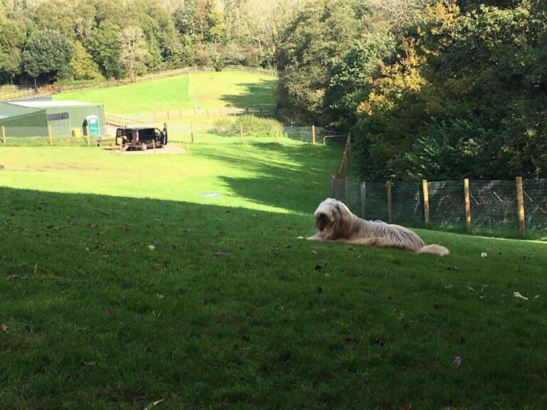 2001 a9099e27dc5578a1cbebec35fc804ae7 1 768x576