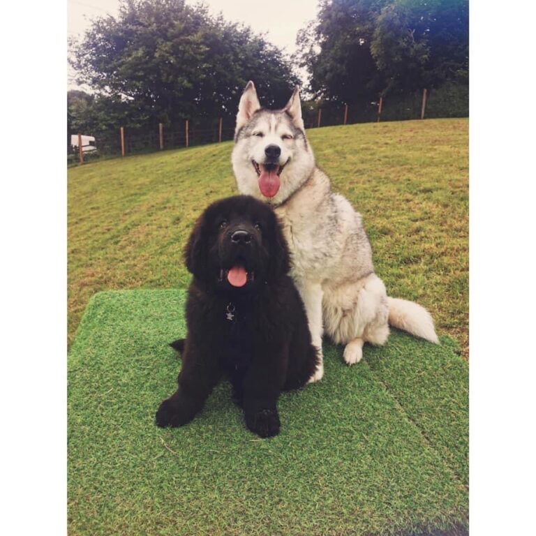 2001 ace8414eafa00ef957fc94c6cd703d1b 1 768x768