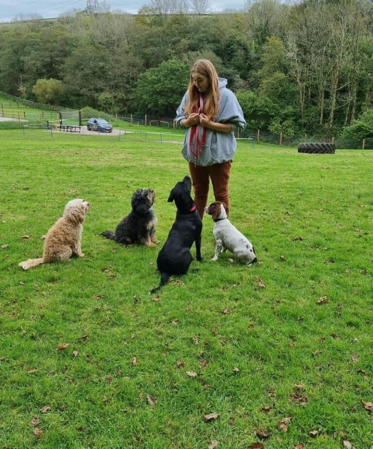 2001 b0b637d7e1c98dbb15efc221140444b7 1 768x924