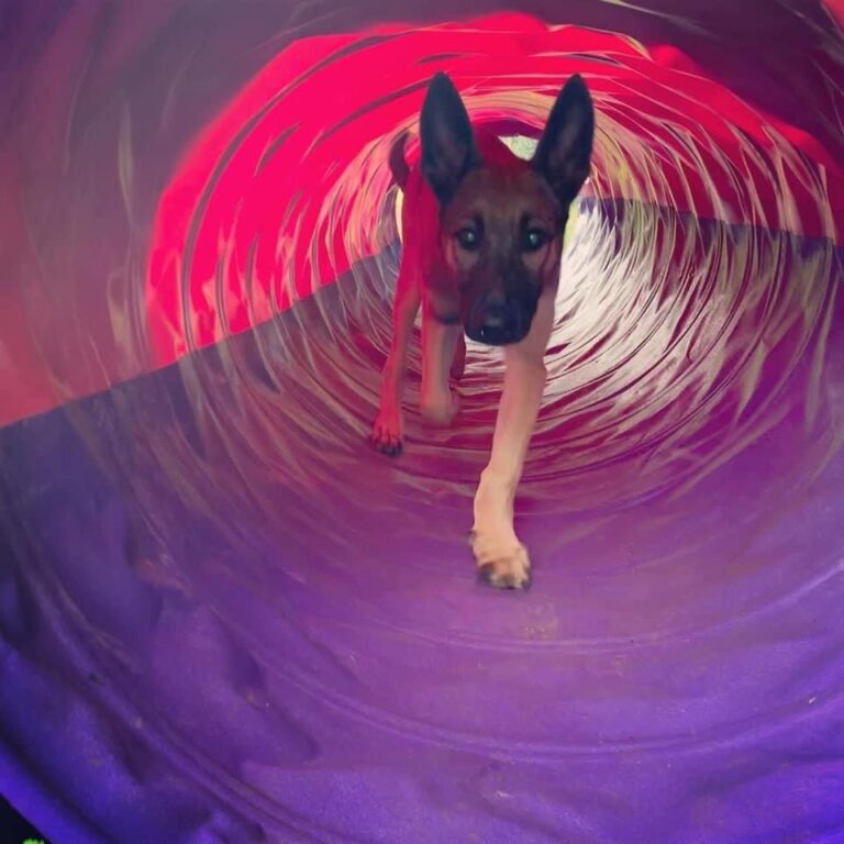 2001 e04d9fd2f48a7b0b80c1a7af6676c5a8 1 768x768