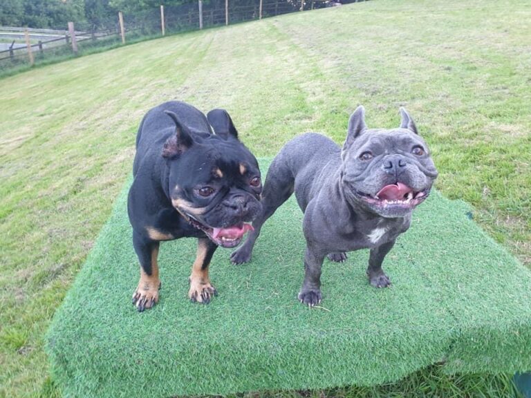 2001 e7b1add4f22b7da0a43ec05bf9843ede 1 768x576