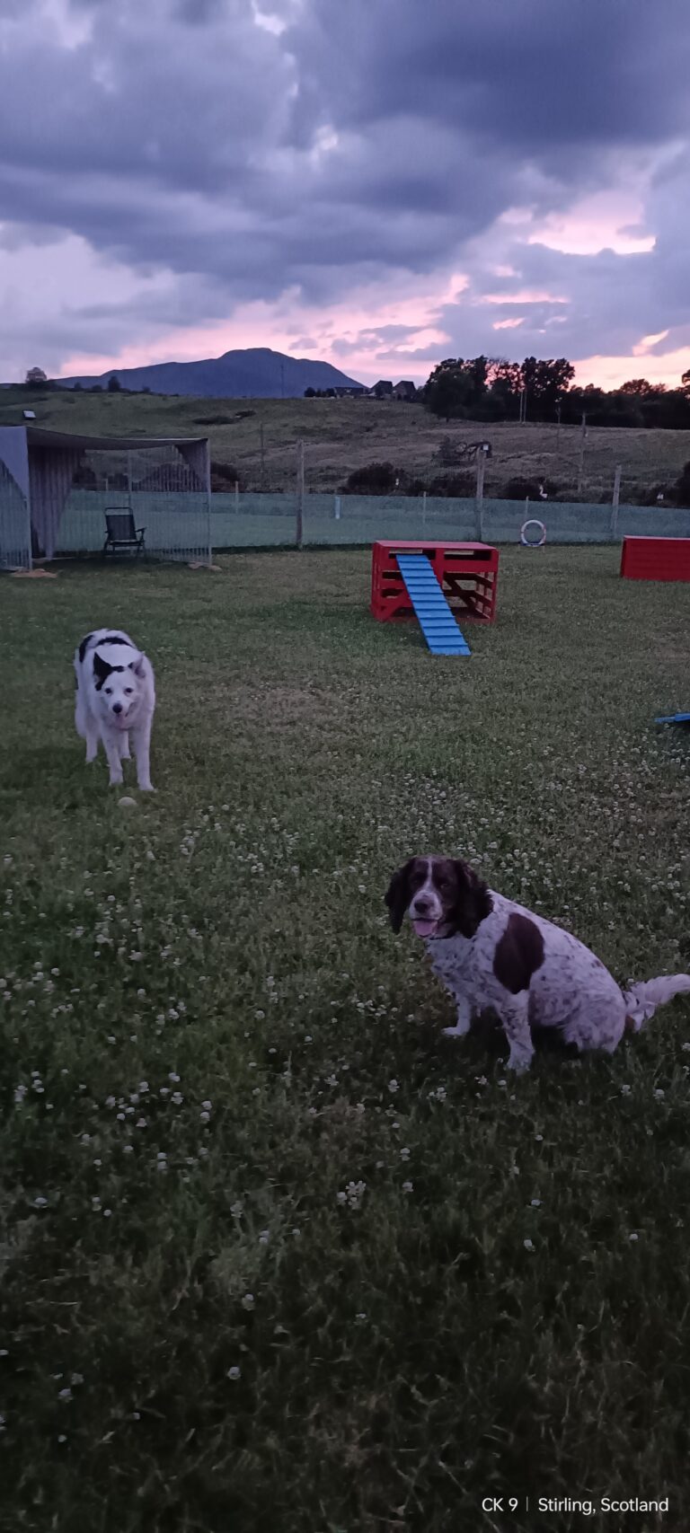 2018 4249a8dde56f5e6abc61b814927f47c0 1 768x1707