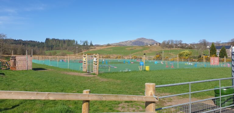 2018 6b9392796fc121f0007580dde1939da3 1 768x373