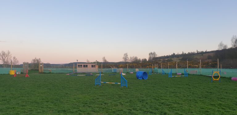 2018 7bff6a795de0800cbd3b32ec64592b0d 1 768x373