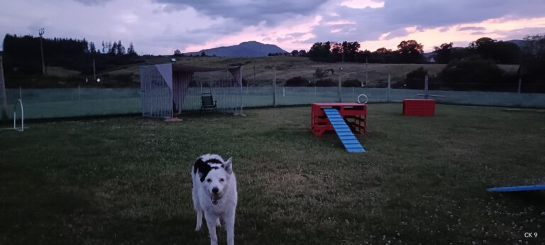 2018 8f4aaae7bb37a7c32f862f3d1bca64e3 1 768x345