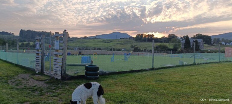 2018 9680df7b4318cbc5eefd2bd8cf13e98b 1 768x345