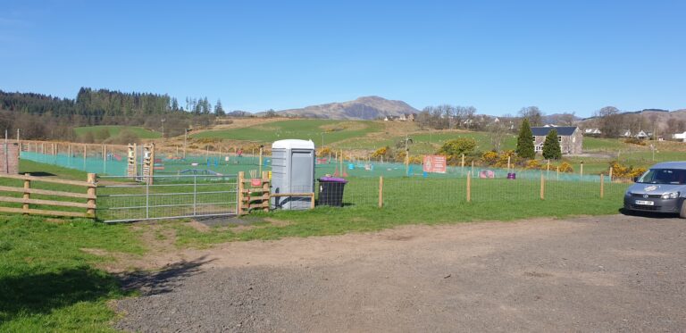 2018 aea474a943637709ce028856c3ed8e7b 1 768x373